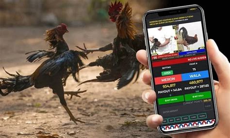 Sabong International: Experience the Online Cockfighting .